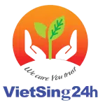 vietsing24h-logo VietSing24h
